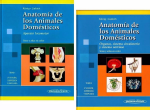 Anatomía de los animales domésticos