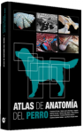 Atlas de anatomía del perro