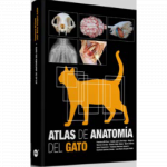 Atlas de anatomía del gato